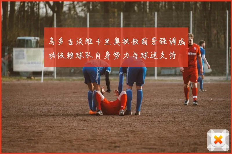 乌多吉谈维卡里奥执教前景强调成功依赖球队自身努力与球迷支持
