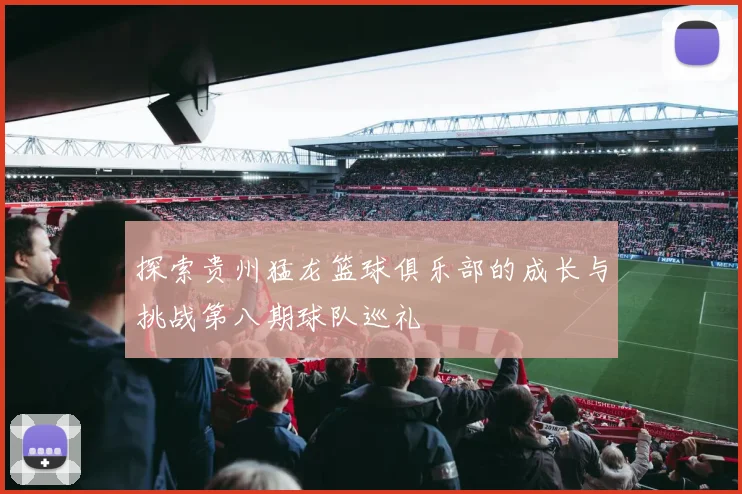 探索贵州猛龙篮球俱乐部的成长与挑战第八期球队巡礼